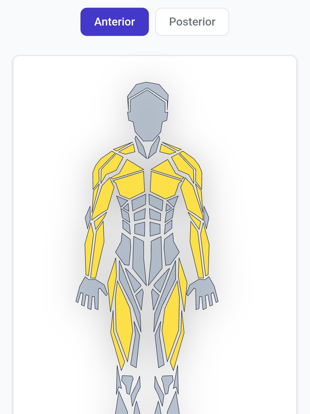 Screenshot of the BodyBud Muscle Load screen with a body diagram highlighting recently trained muscle groups
